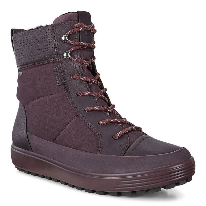 Women Boots Ecco Soft 7 Tred W - Winter Boot Purple - India WUJGZI917